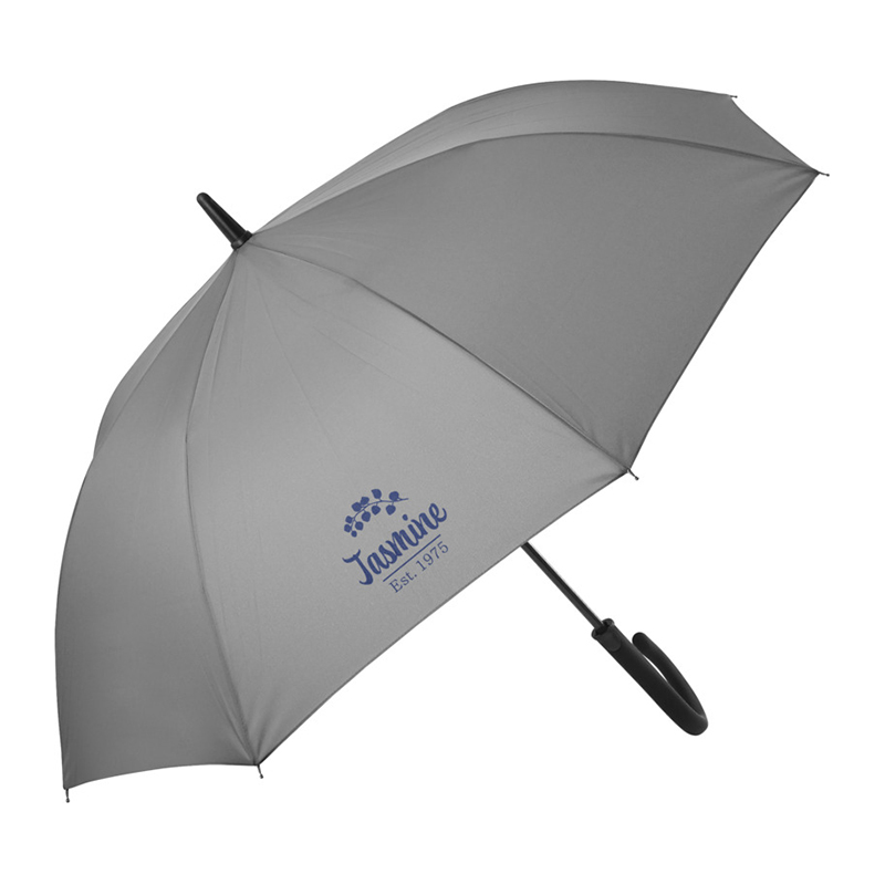 Citizen Green city umbrella